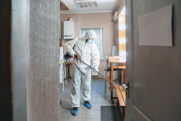 Best Comprehensive Air Testing for Mold Contaminants  in Adamstown, PA